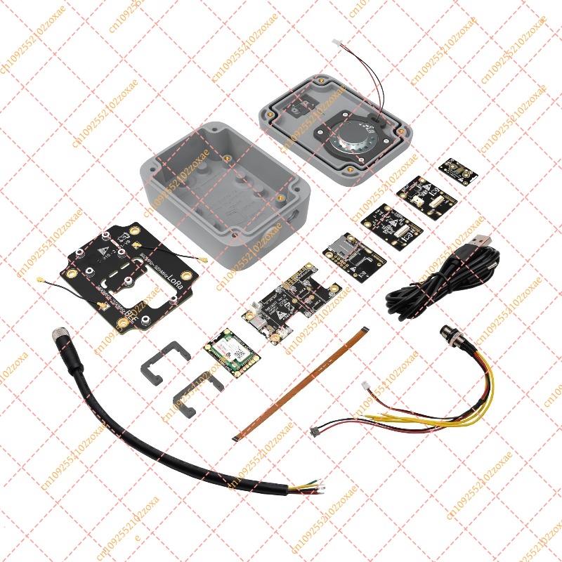 Diy Automation Projects - Zestaw startowy do przetwarzania głosu RAK10713,