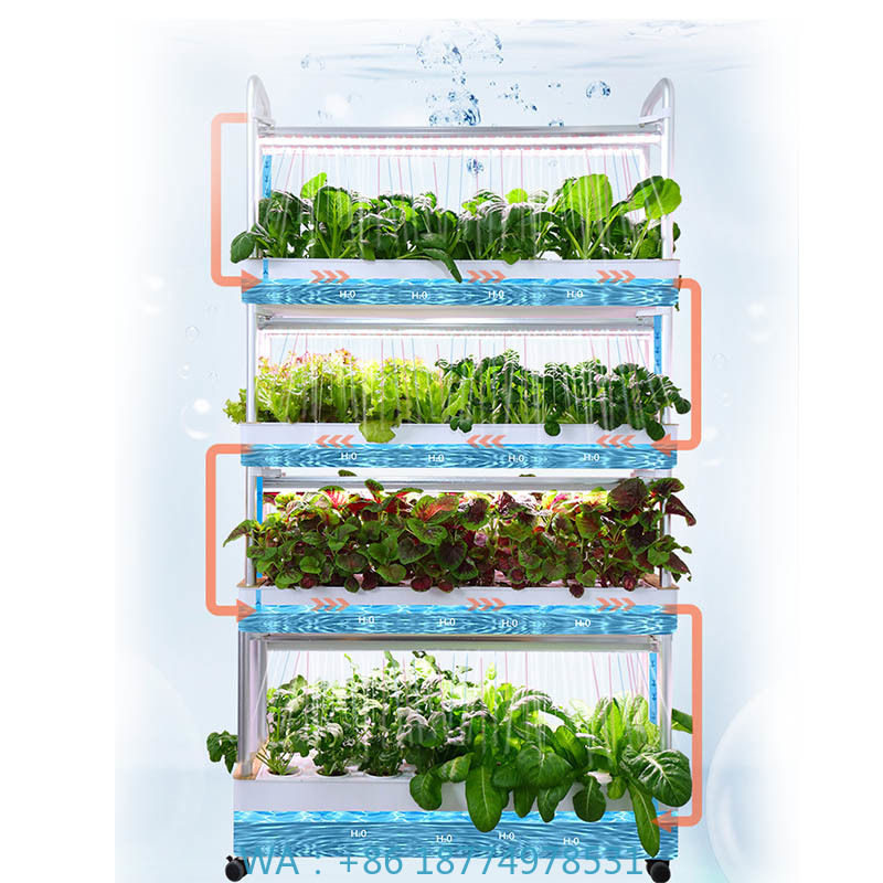 Home Automation Systems Diy - System hydroponiczny do uprawy roślin, inteligentny