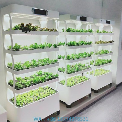 Automatyczny system hydroponic – Home Automation Systems Diy recenzja i cena