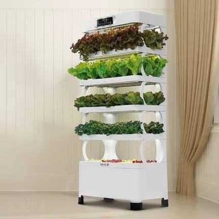 Automatyczny system hydroponic – Home Automation Systems Diy recenzja i cena